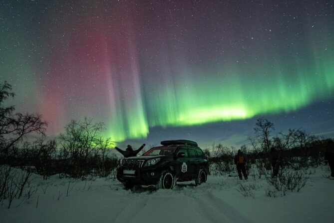 Image of Northern Lights over snowy landscape